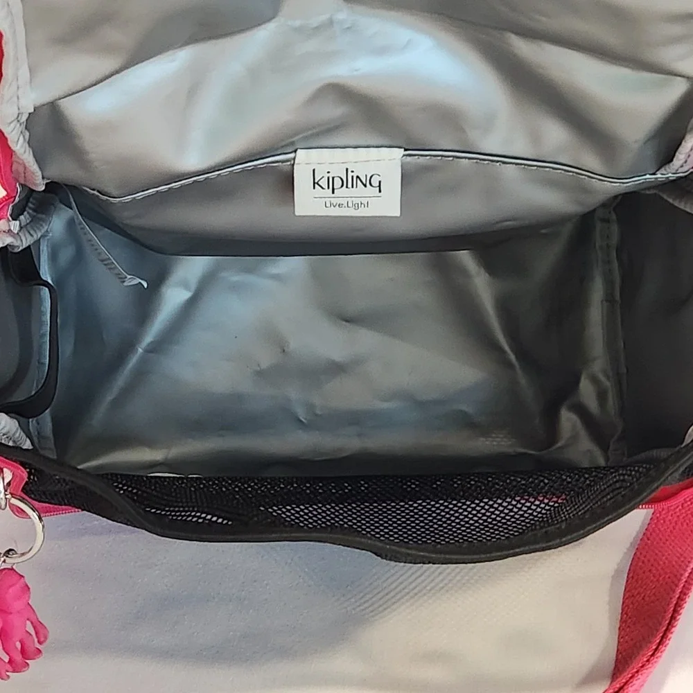 Kipling Kichirou Insulated Crossbody With Handle Lunch Bag Multicolor Stripes‎